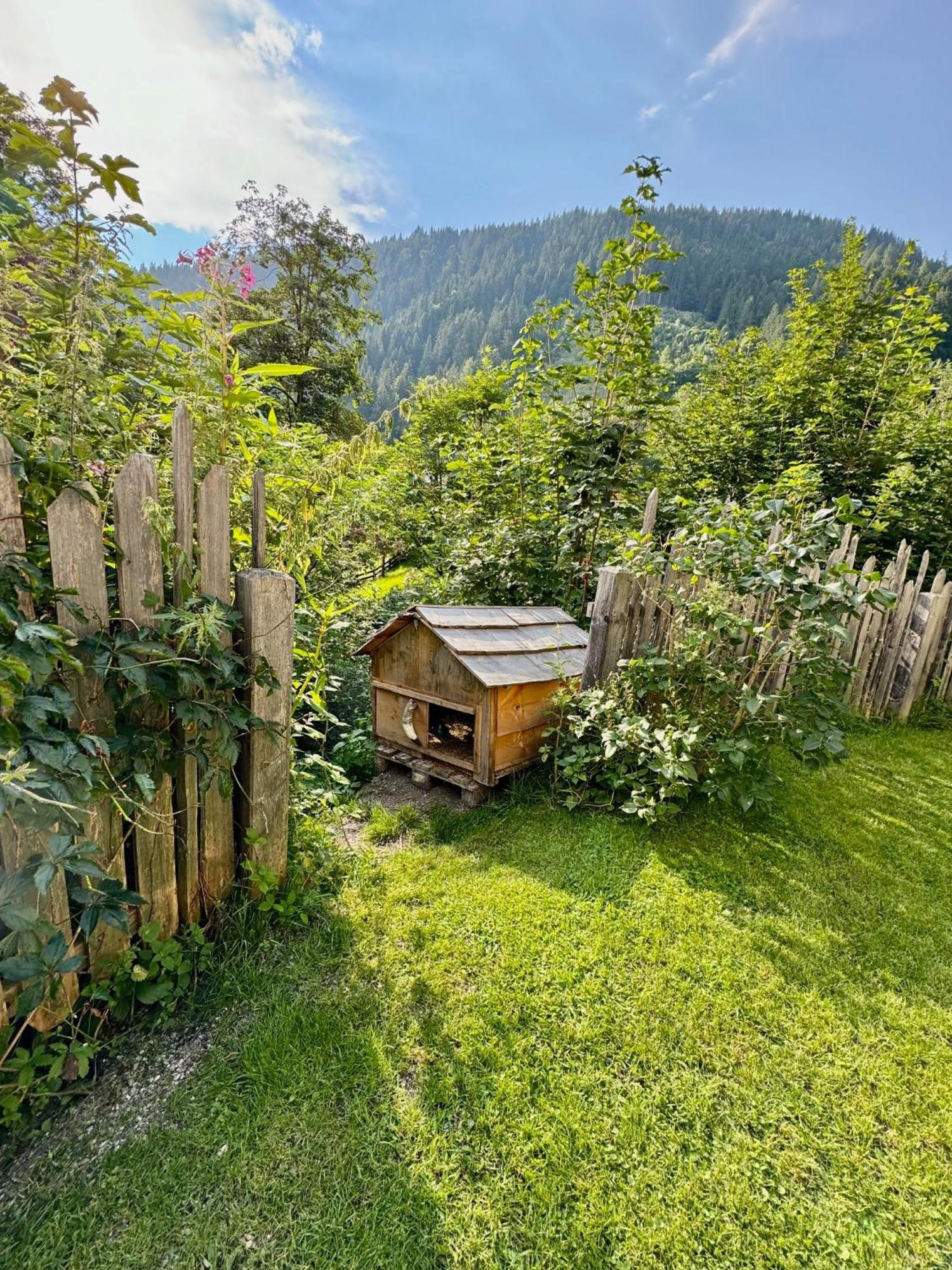Appartement Haensel & Gretel Werfenweng Εξωτερικό φωτογραφία